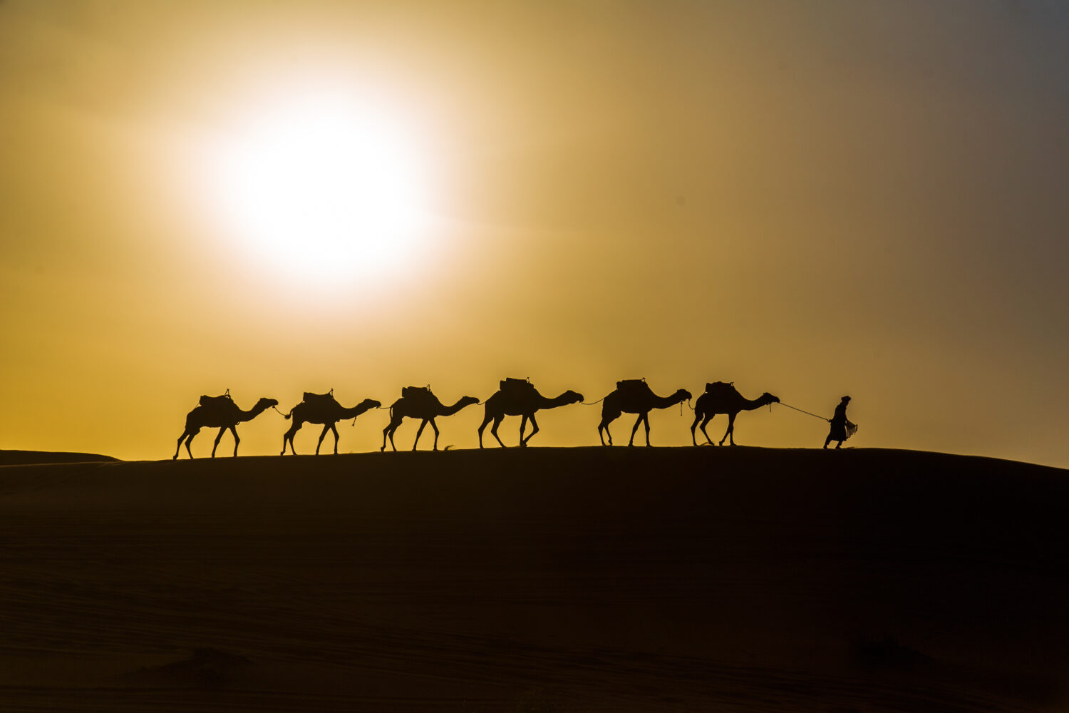 3 Days Desert Tours From Fes To Marrakech