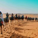Desert Tour Fes To Marrakech