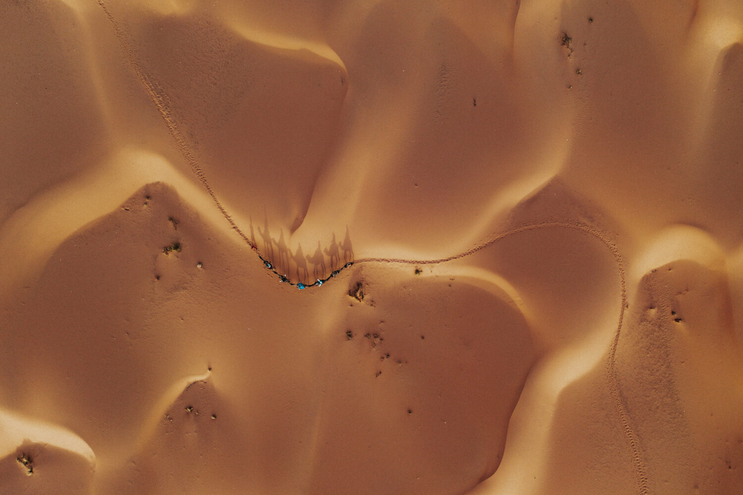 Camel ride through the Merzouga Desert, an unforgettable experience on your 6 days tour from Tangier.