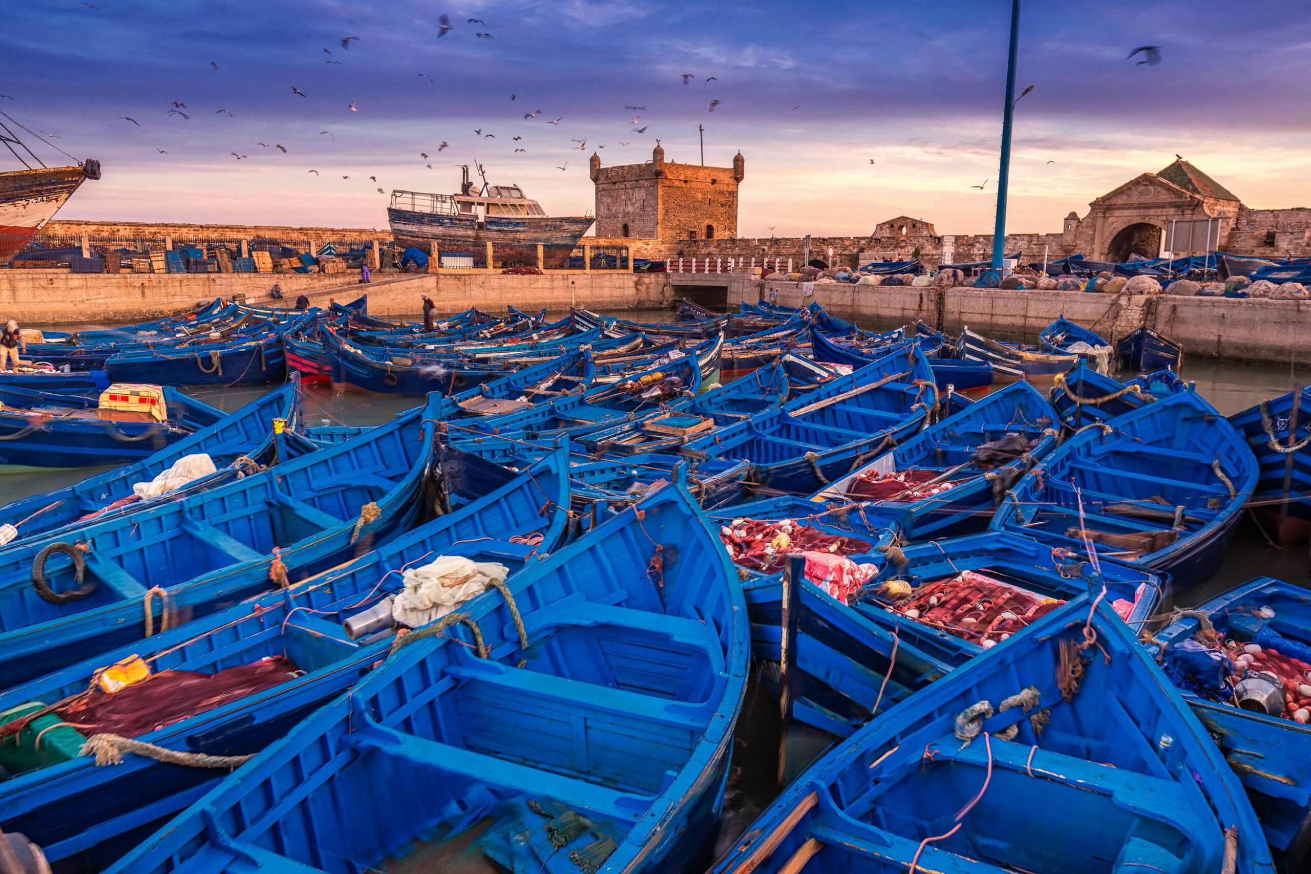 Day trip from Marrakech to Essaouira