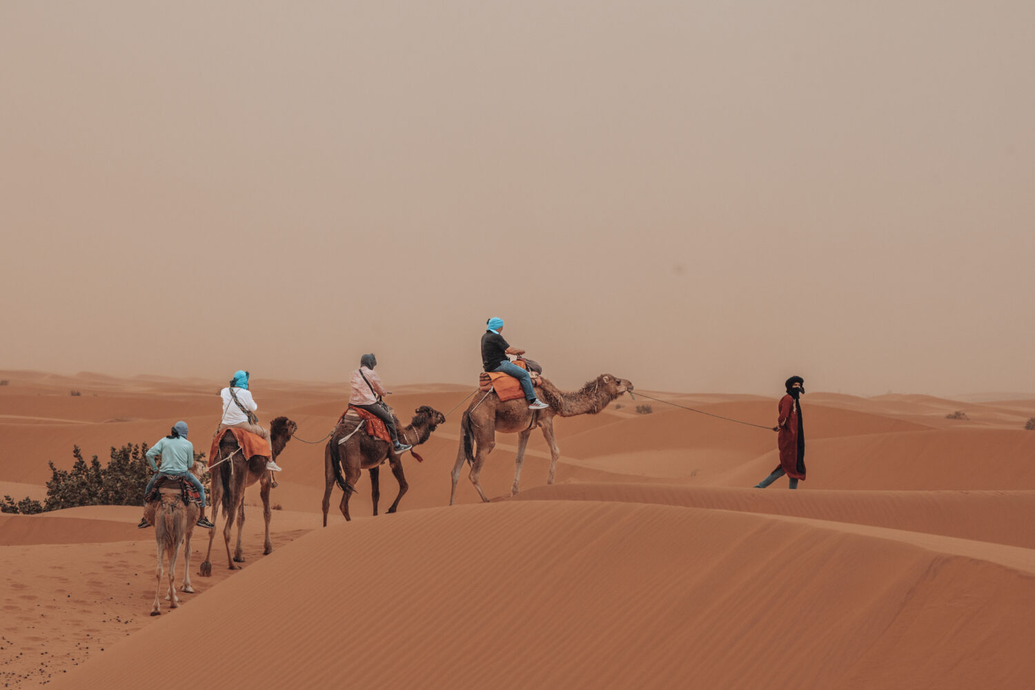 Errachidia desert tour