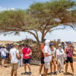 Moroccan Travel Agency