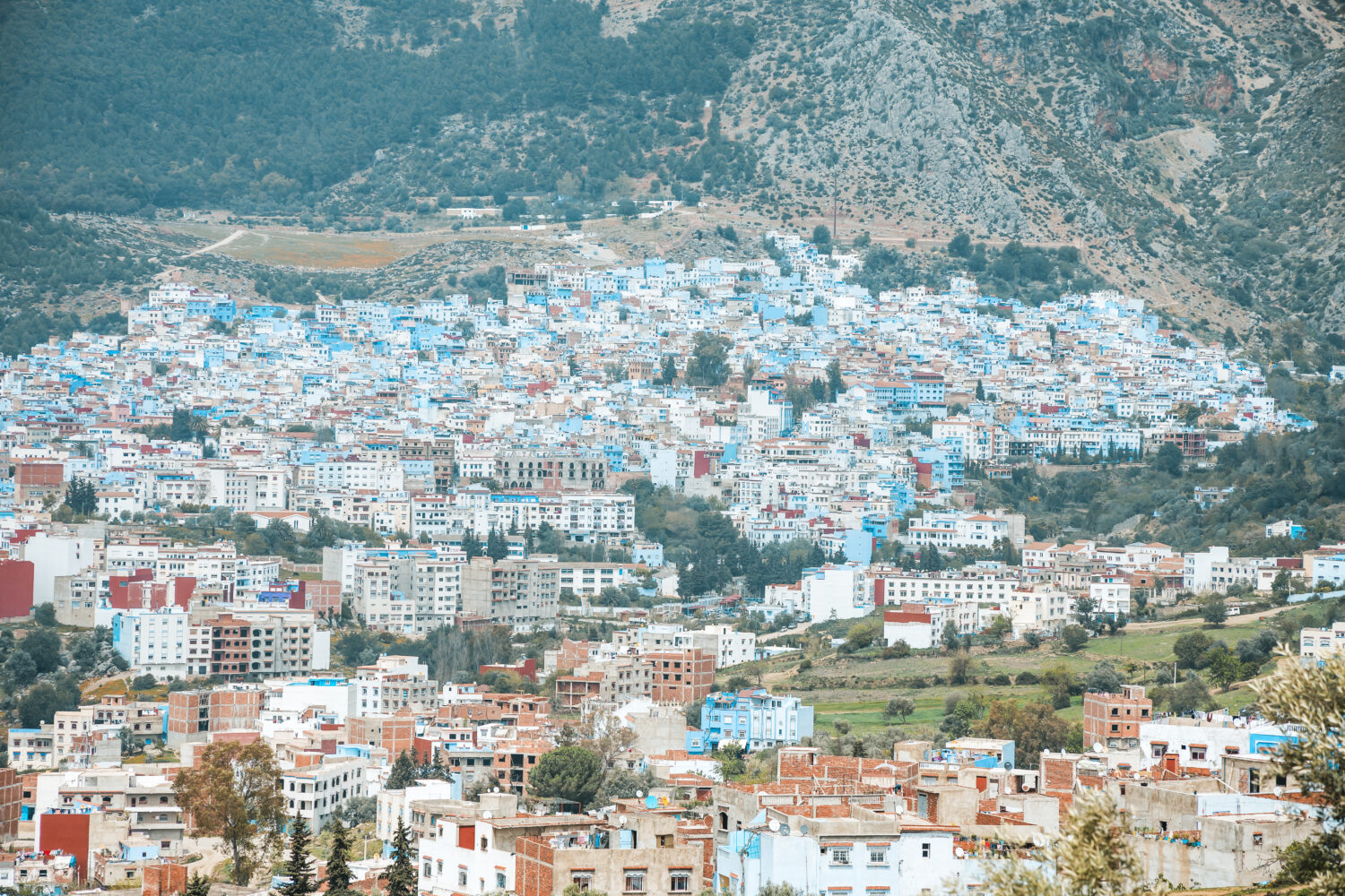 Tour di 8 Giorni in Marocco da Marrakech a Casablanca