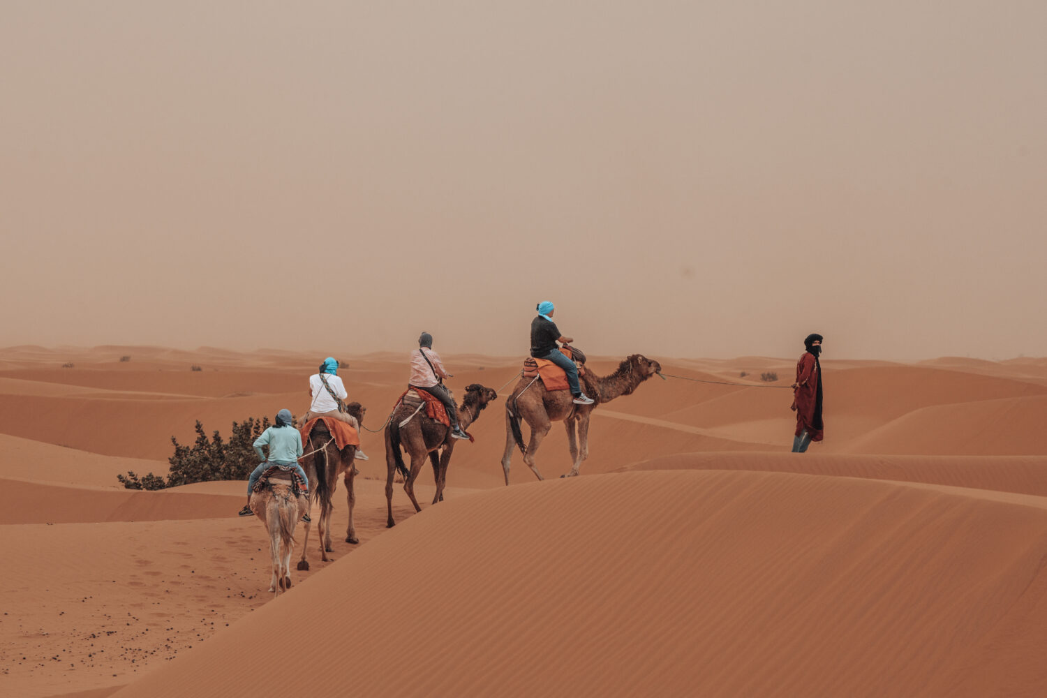 Tour di 8 Giorni in Marocco da Marrakech a Casablanca