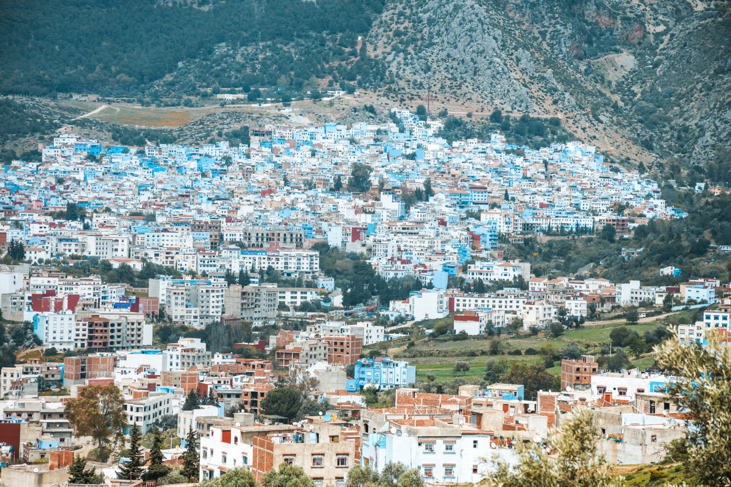 11 Days Tour From Casablanca